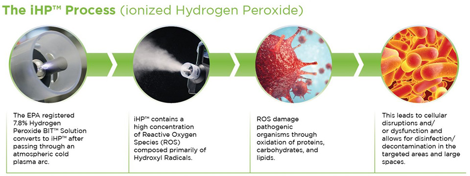 The iHP process