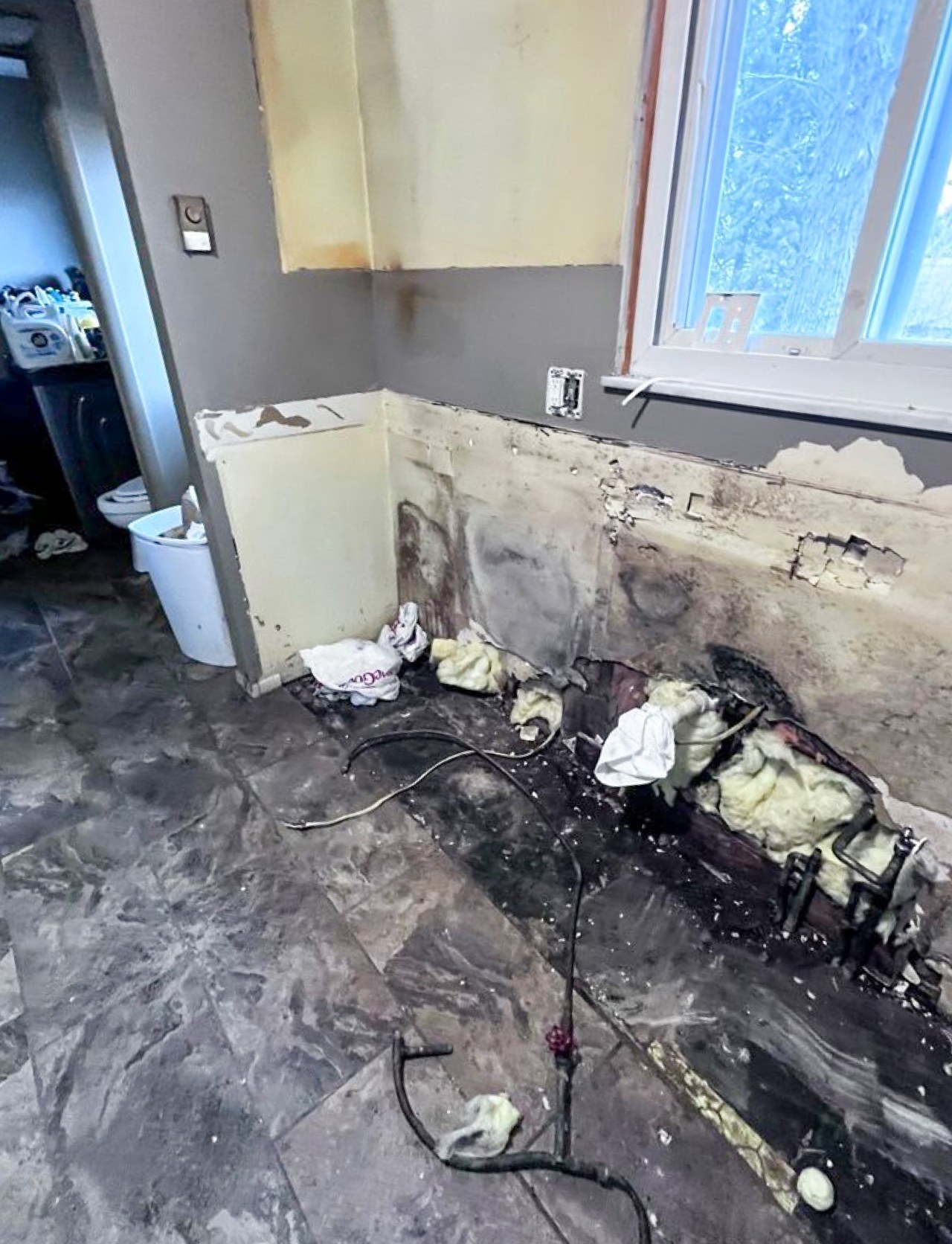 Mold Inspection of Home Space Mold Inspection of Home Space