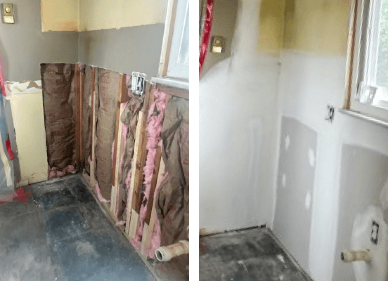 Mold Repair and Restoration Mold Repair and Restoration