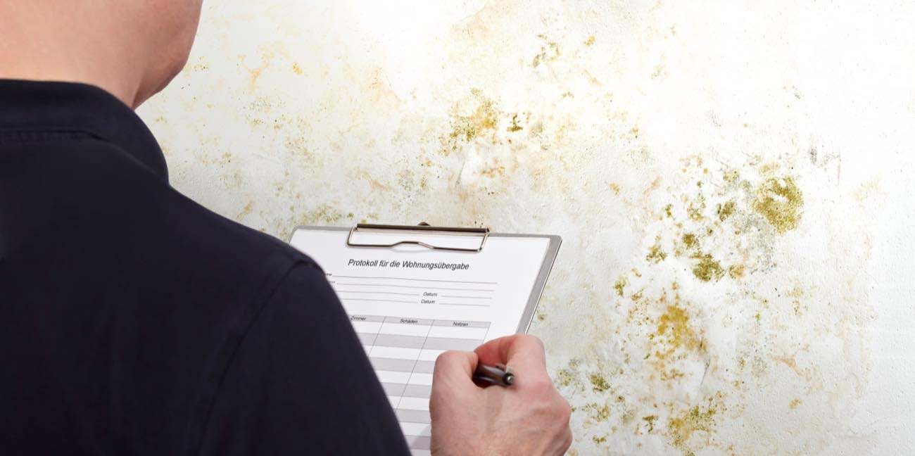 Employee Going Through a Mold Inspection Checklist